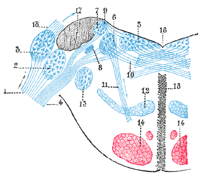 Fig. 761