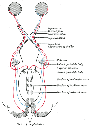 Fig. 763
