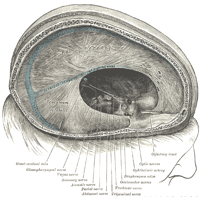 Fig. 765