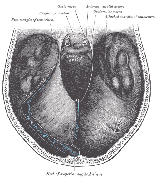 Fig. 766