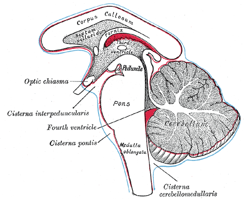 Fig. 768