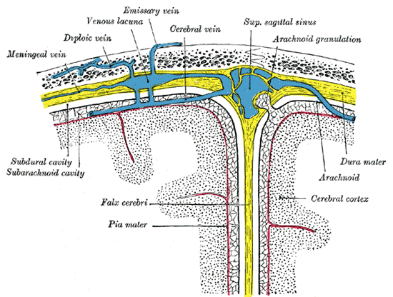 Fig. 769
