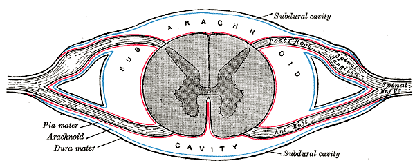 Fig. 770