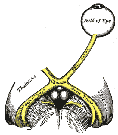 Fig. 773