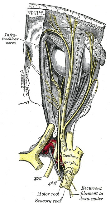 Fig. 776