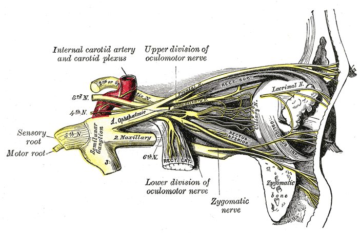 Fig. 777