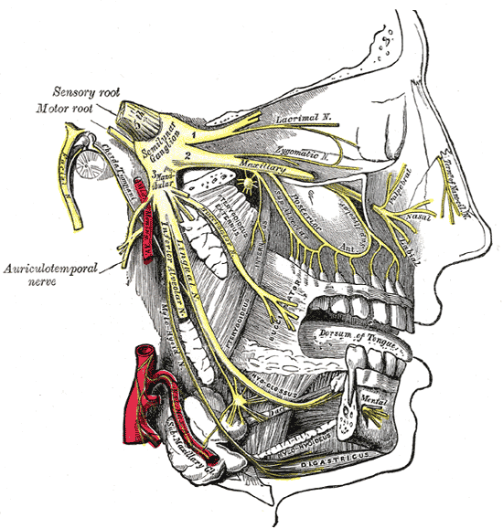 Fig. 778