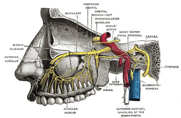 Fig. 779