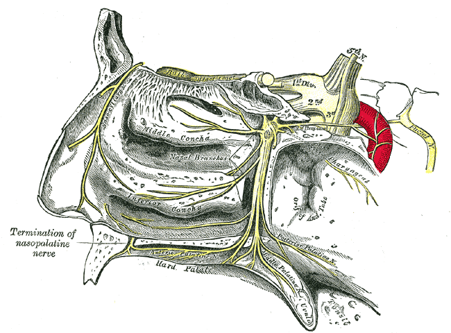Fig. 780