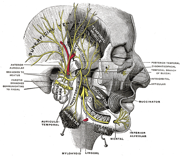 Fig. 781