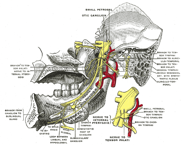 Fig. 782