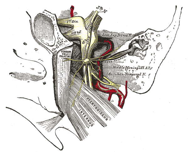 Fig. 783