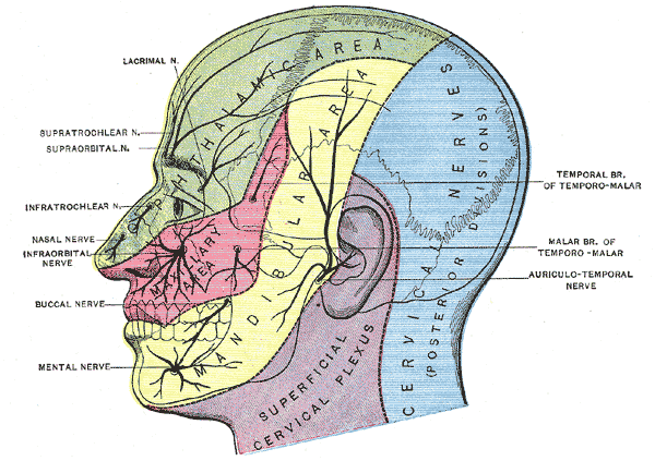 Fig. 784