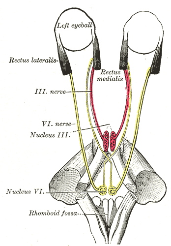 Fig. 785
