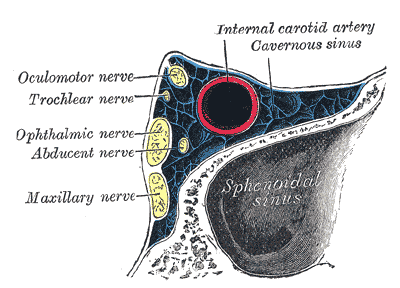 Fig. 786