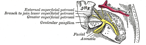 Fig. 789