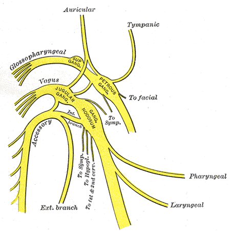 Fig. 791