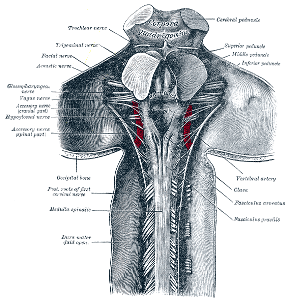Fig. 792