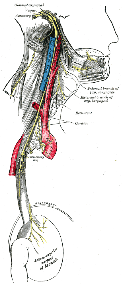 Fig. 793