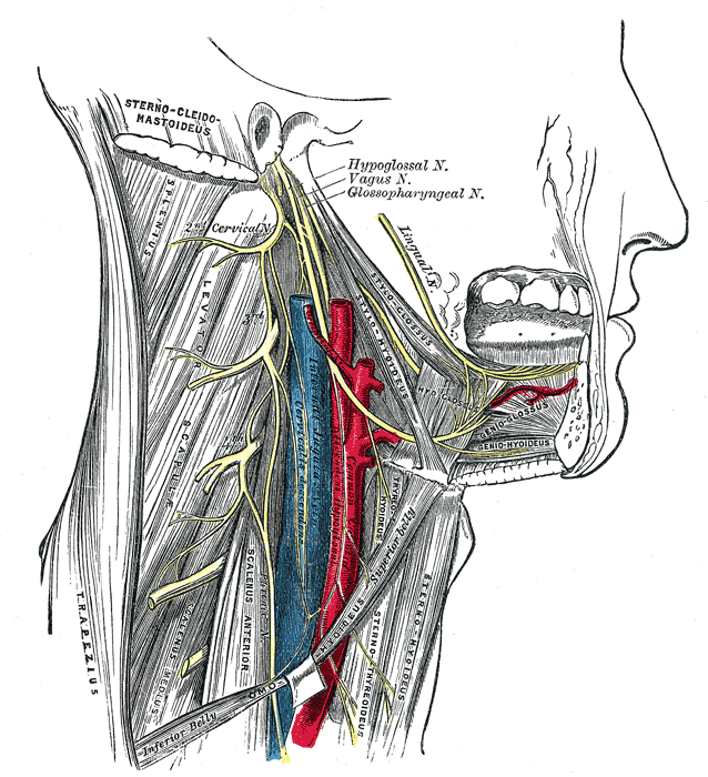 Fig. 794