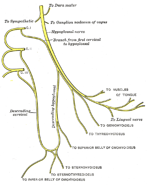 Fig. 795