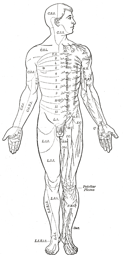 Fig. 797