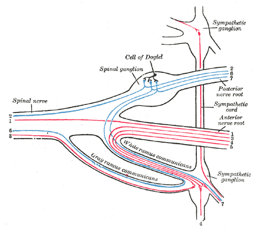 Fig. 799