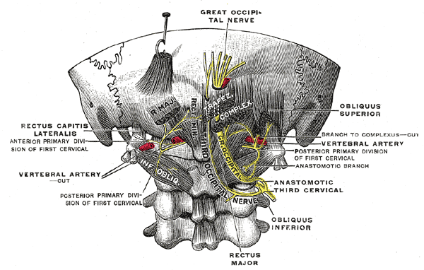 Fig. 800