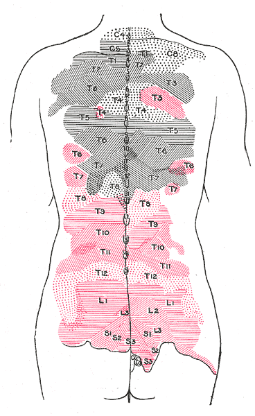 Fig. 802