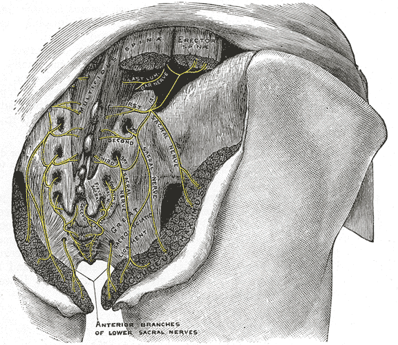 Fig. 803