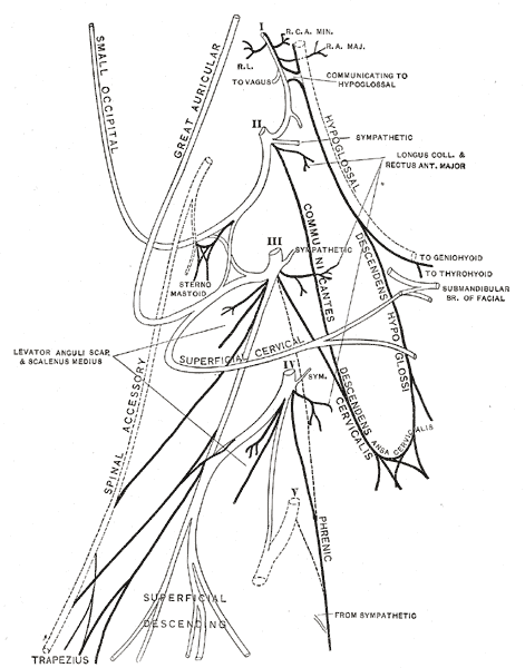 Fig. 804