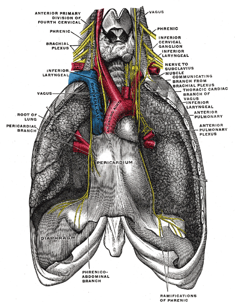 Fig. 806
