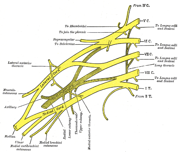 Fig. 807