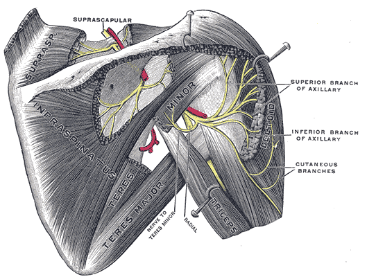 Fig. 810