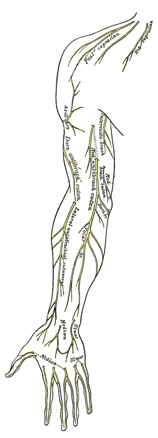 Fig. 811
