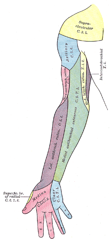 Fig. 812