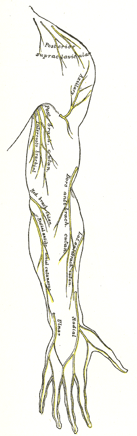 Fig. 813