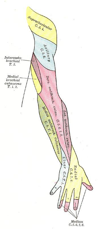 Fig. 814