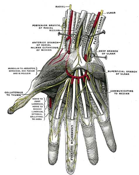 Fig. 815