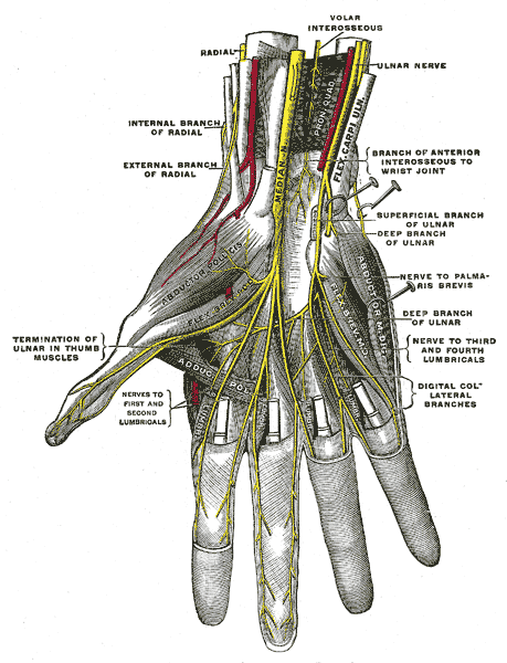 Fig. 817