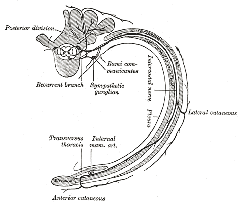 Fig. 819
