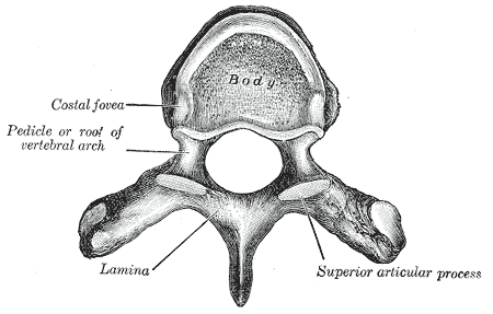 Fig. 82