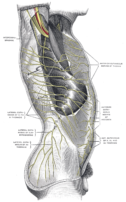 Fig. 820