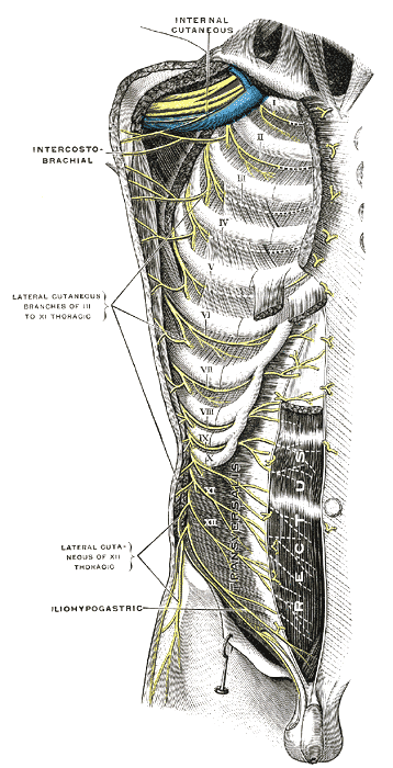 Fig. 821