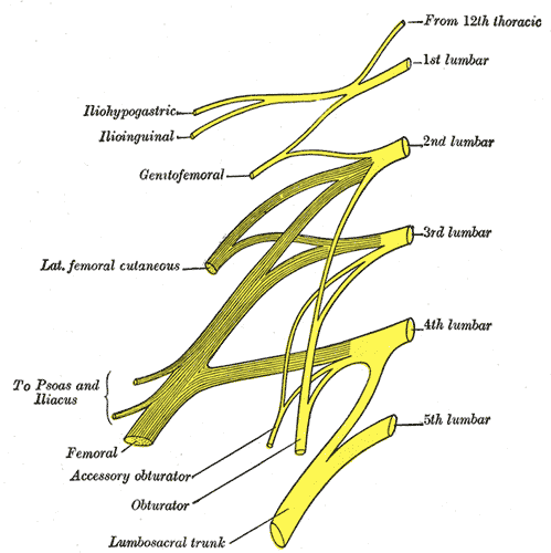 Fig. 822