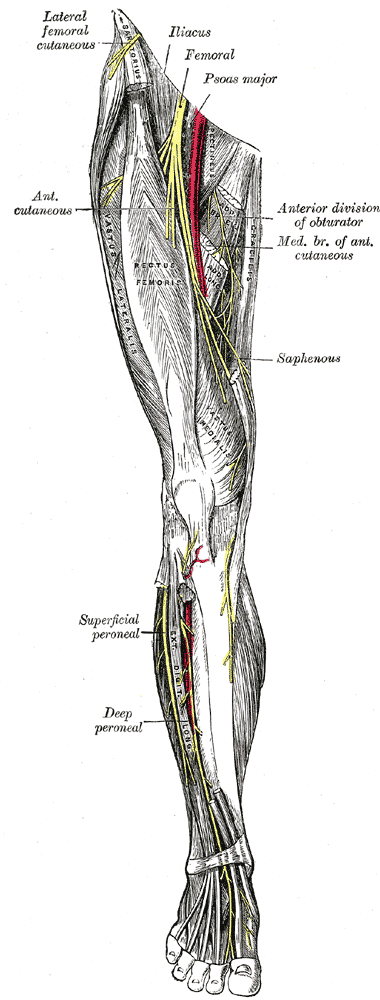 Fig. 827