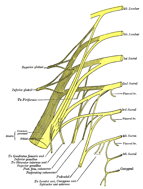 Fig. 828