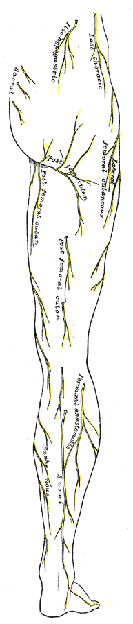 Fig. 830