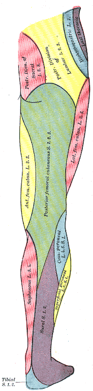 Fig. 831
