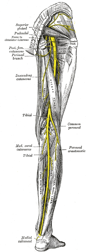 Fig. 832